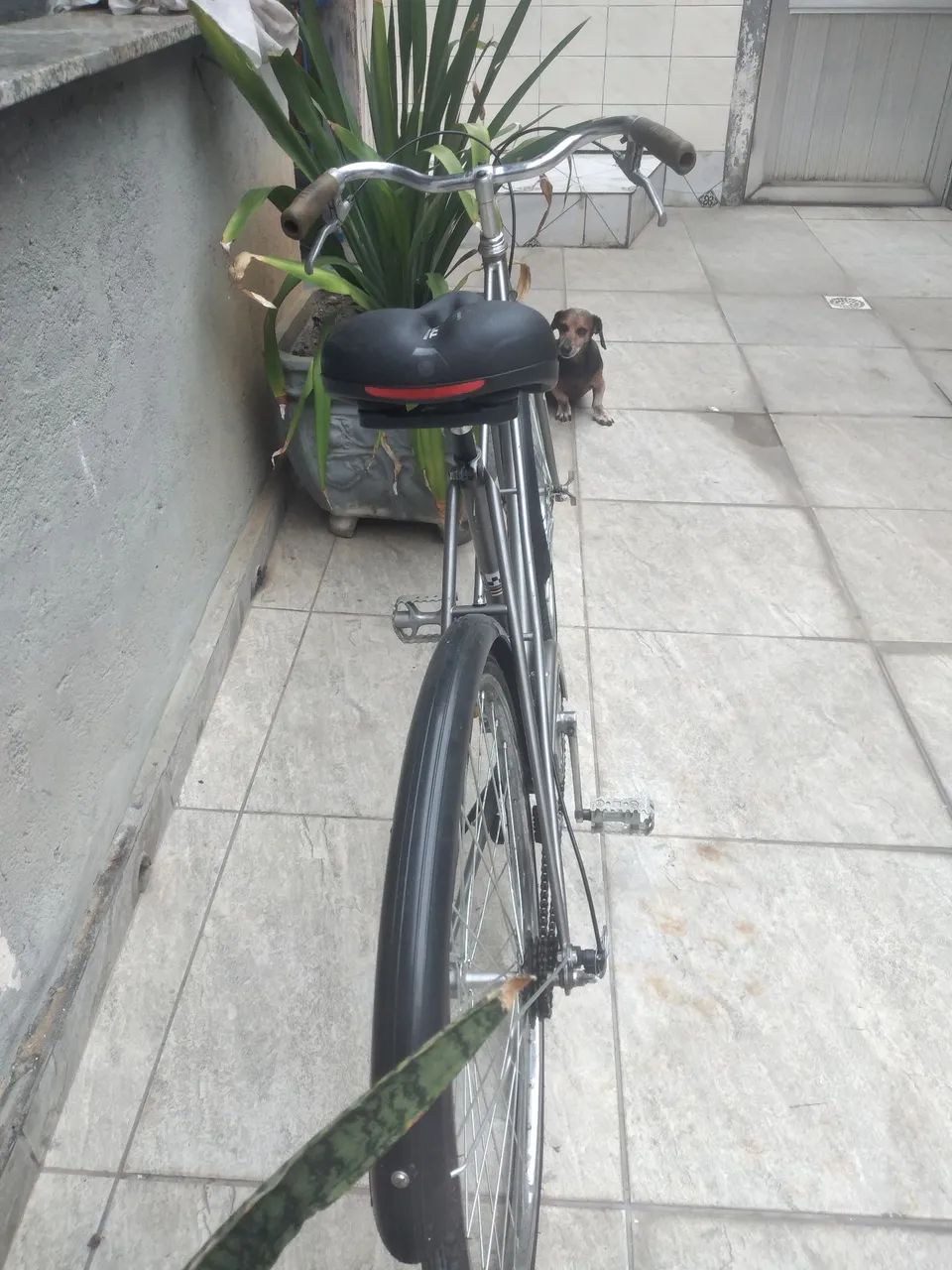 Bicicleta Piejot antiga - Foto 5