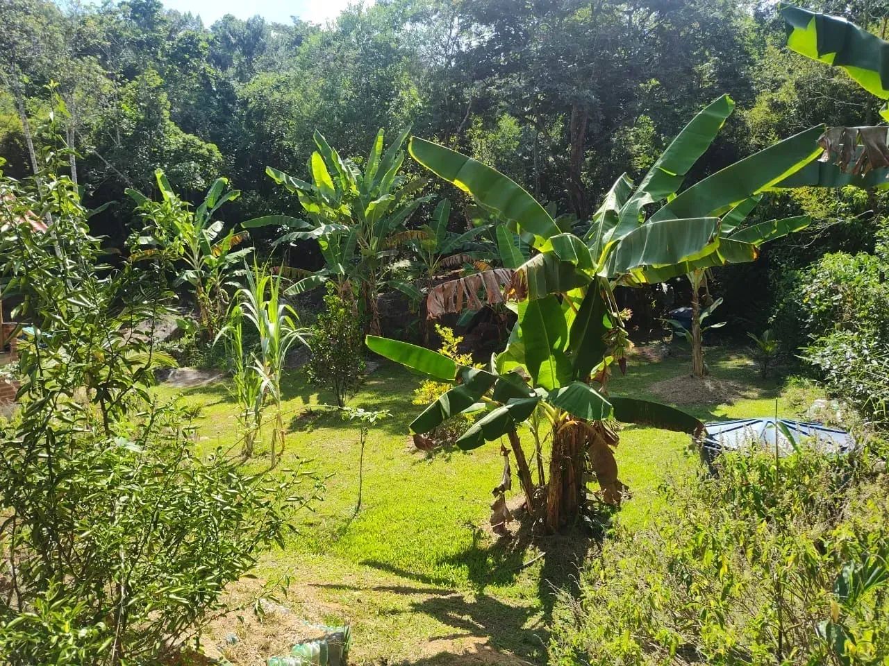 Sítio a venda TINGUÁ estrada da Serra - Foto 2