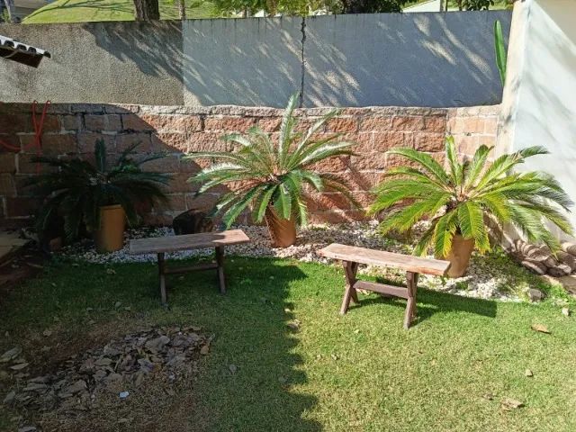 Vasos de Cimento com plantas