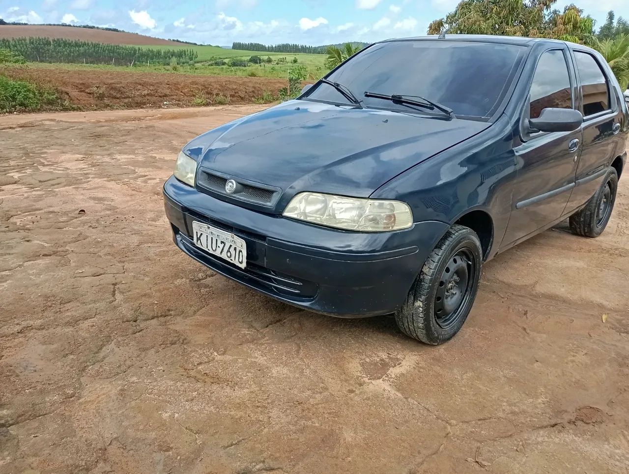 Pálio 444718184211435523