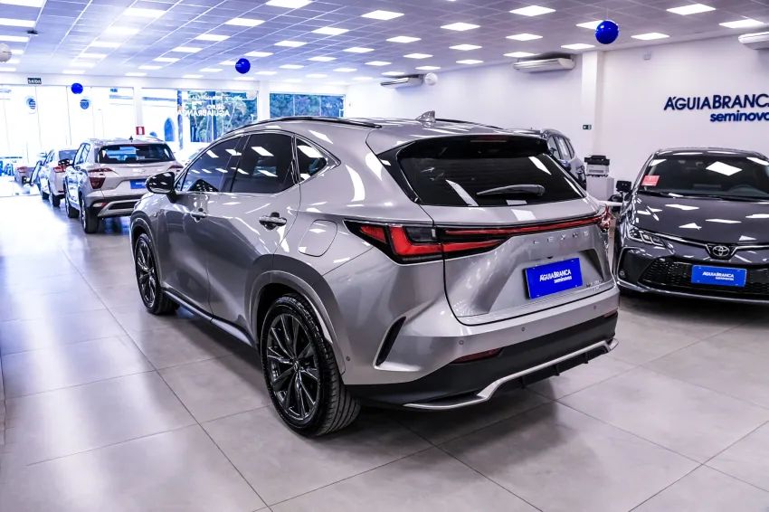 Lexus NX-350h F-sport 2.5 16V Aut. (hybrid), foto 7 de 19