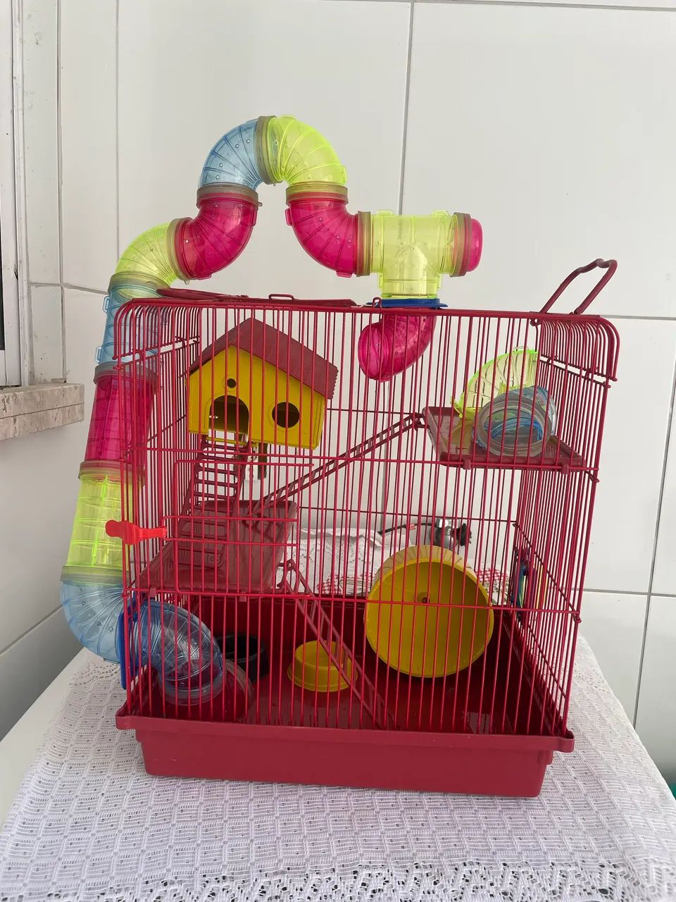 Gaiola Hamster ? 
