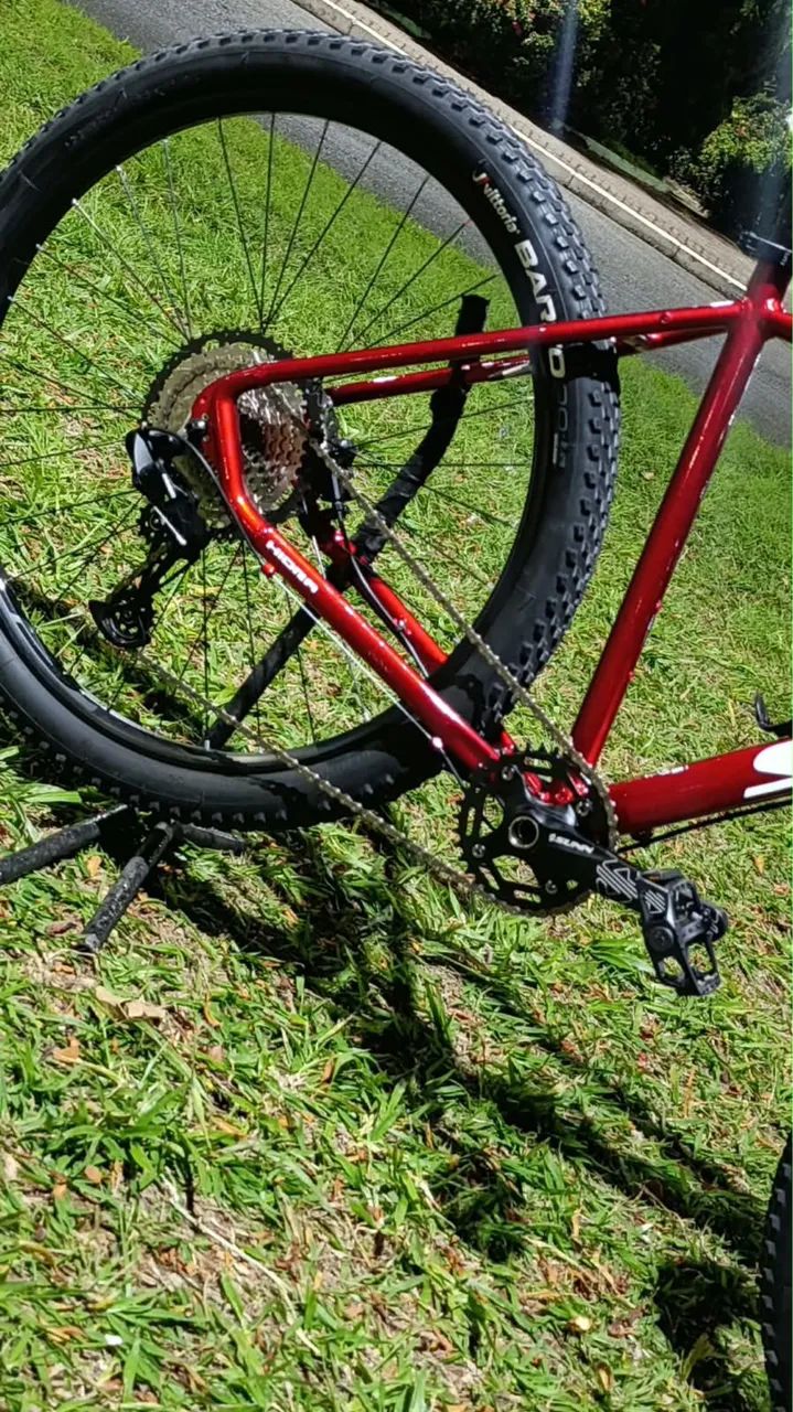 Bicicleta 