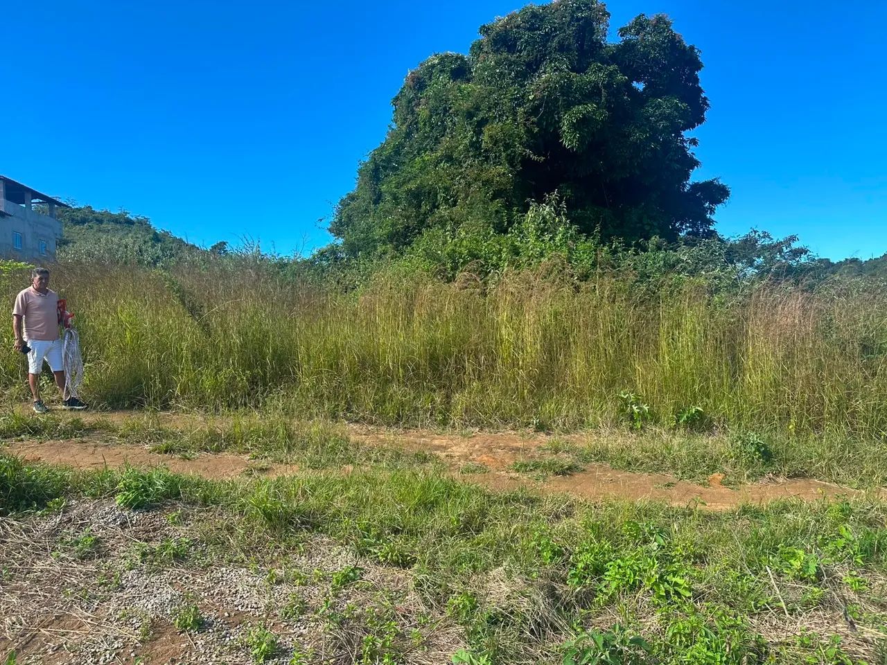  VENDO TERRENO EM MULUNGU - CE  - Foto 2