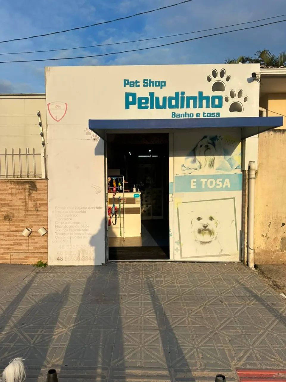 Arrendo Pet Shop no Campeche  - Foto 4