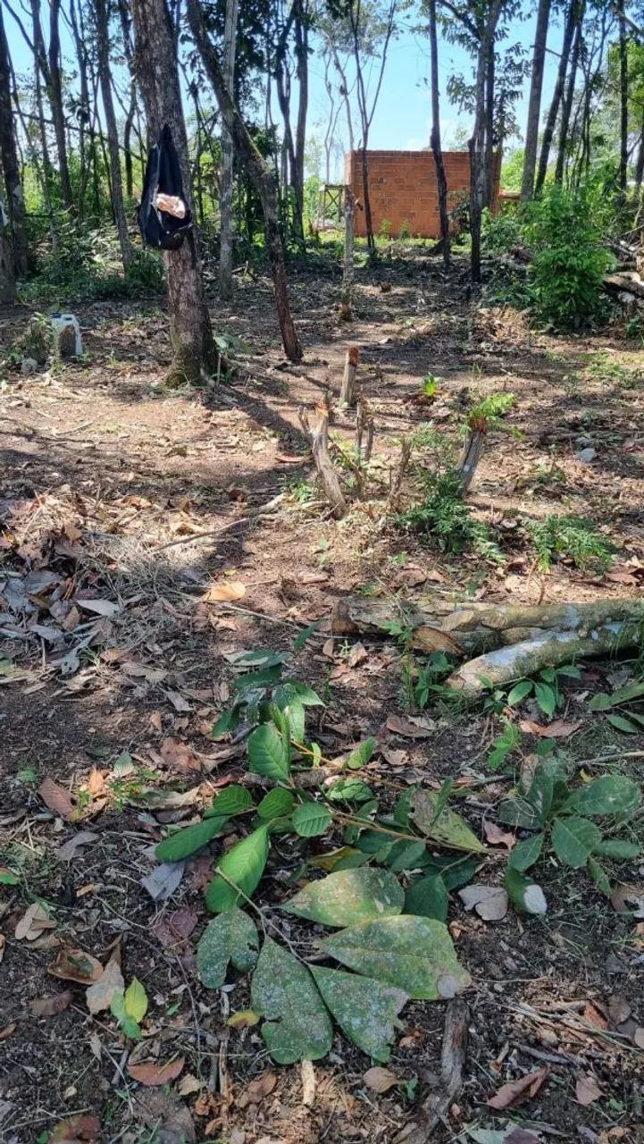 Vendo Terreno No Goiabal  - Foto 4