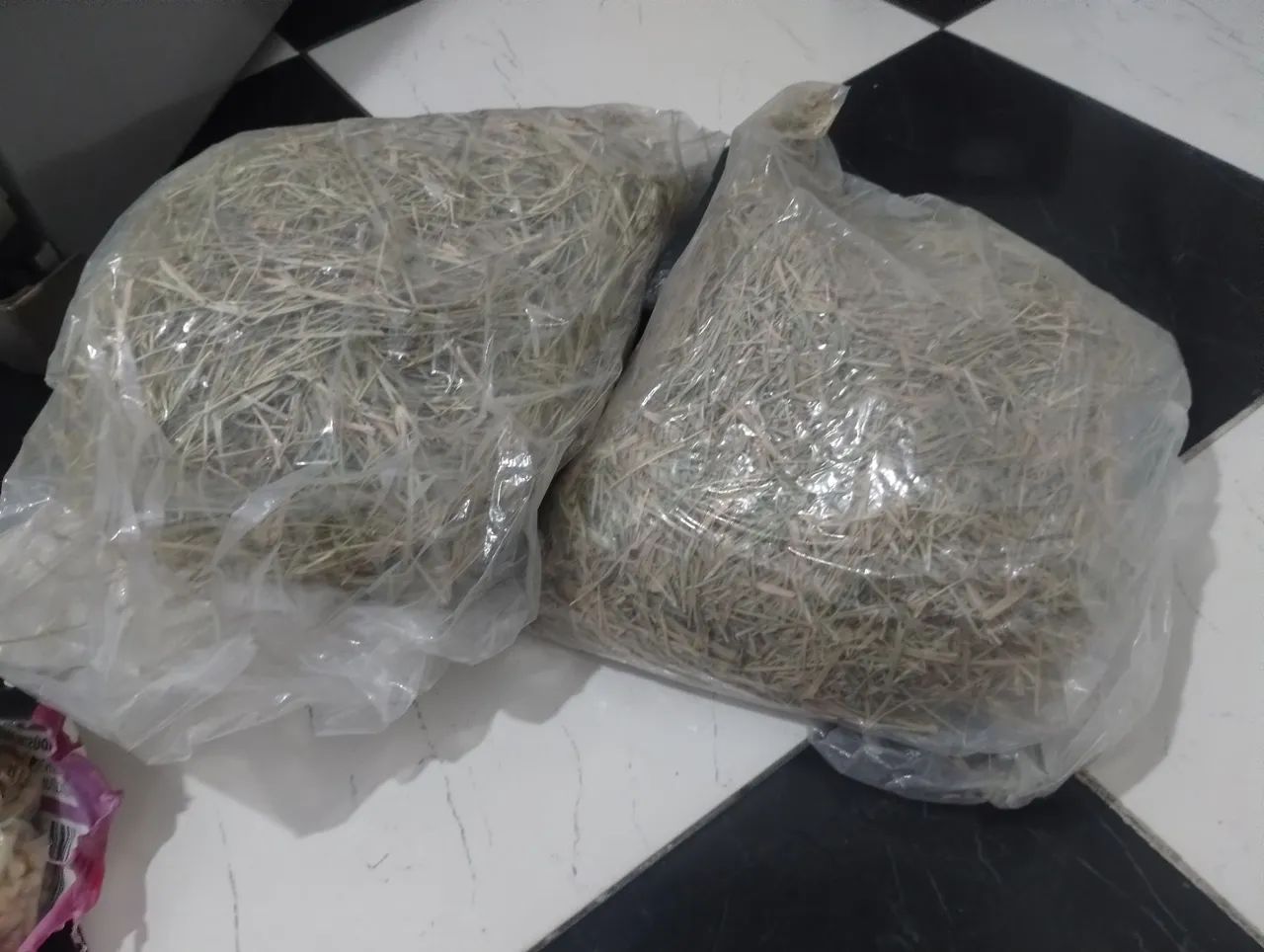 Casa grande de Roedores  - Foto 6