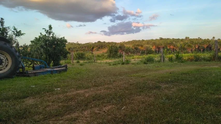 Sítio a venda  - Foto 5