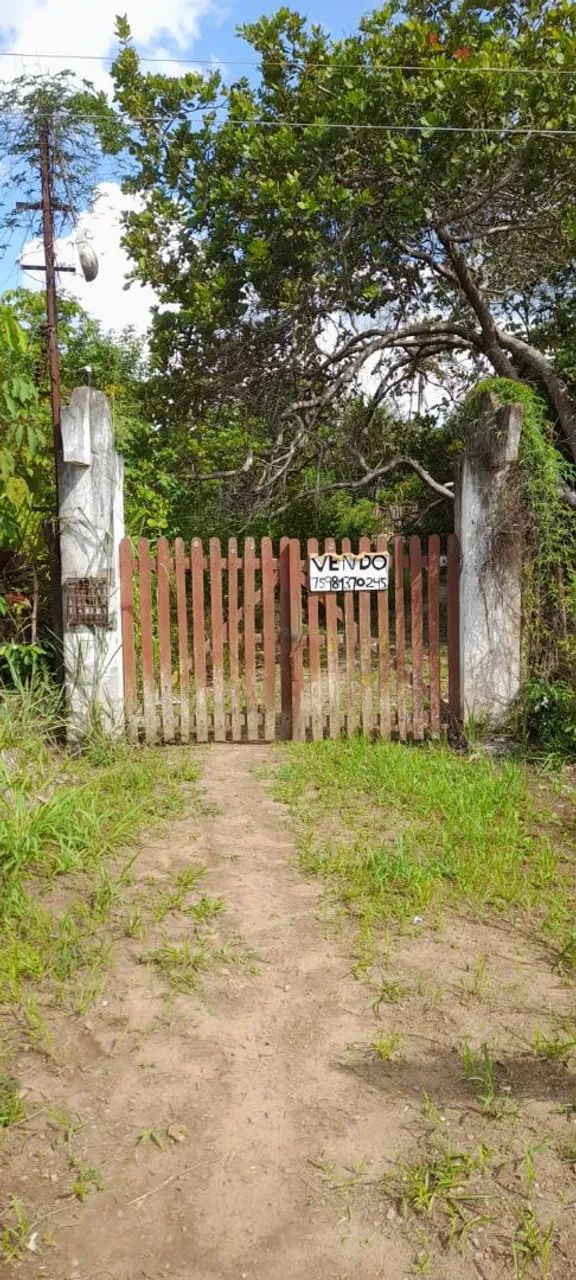 Foto - Santo Amaro - 