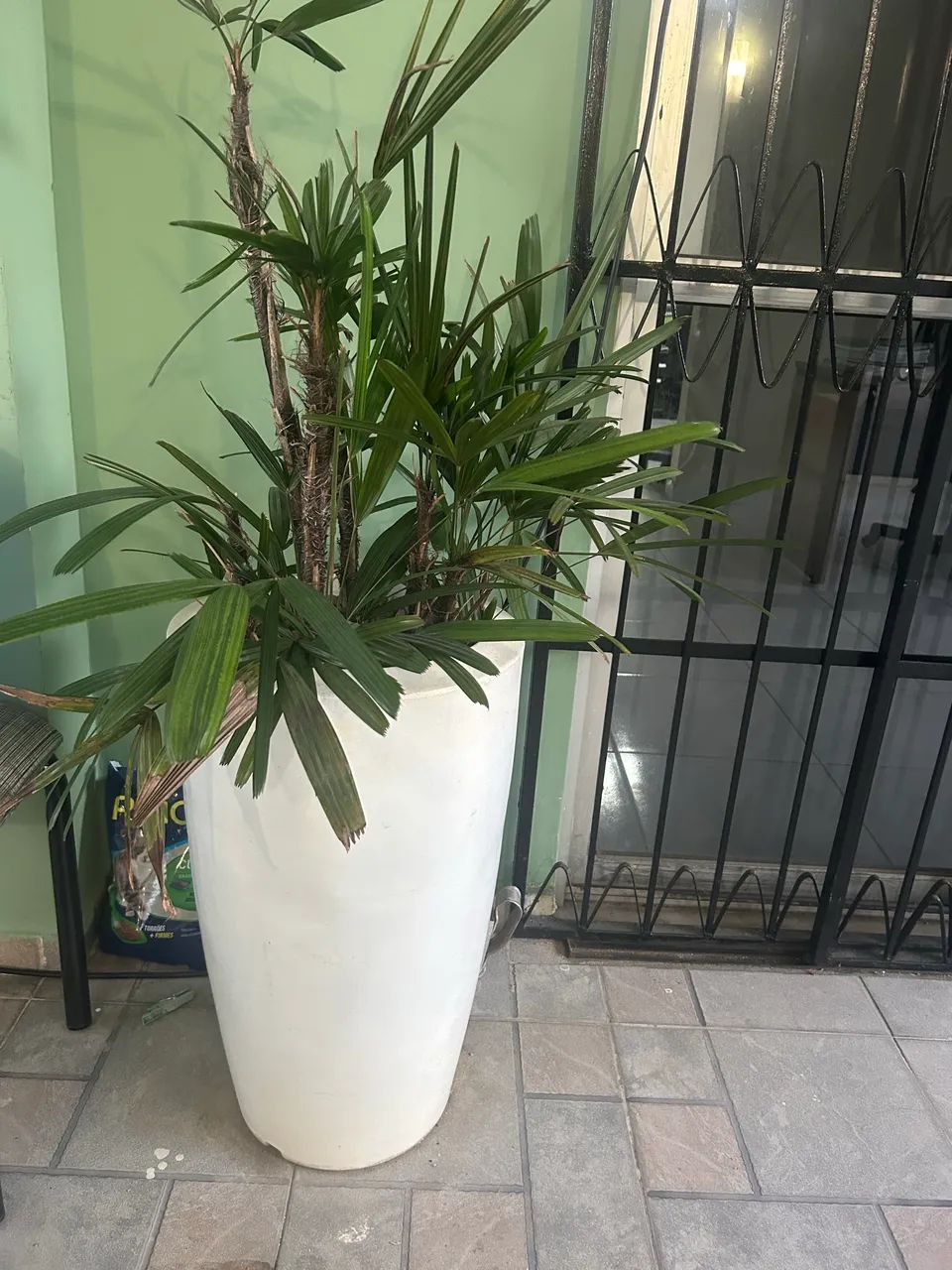 Vaso para planta