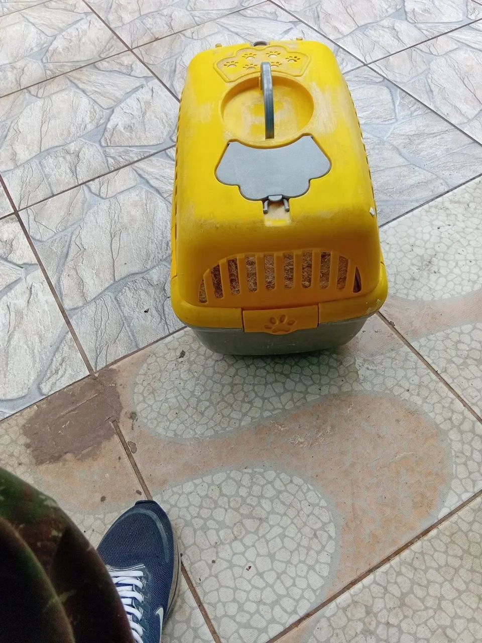 Casinha de gato - Foto 3