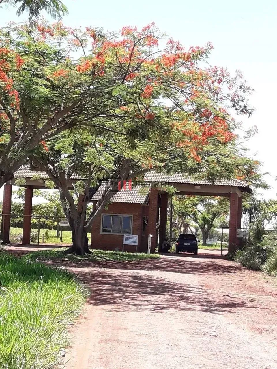 Lote à Venda, linha sete ilhas , Sertanópolis, PR - Foto 2