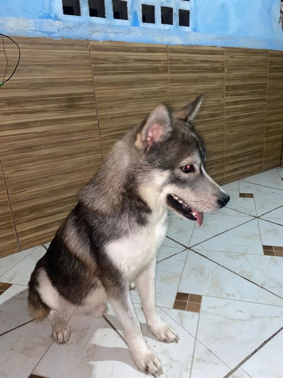 1 ano - Foto 2