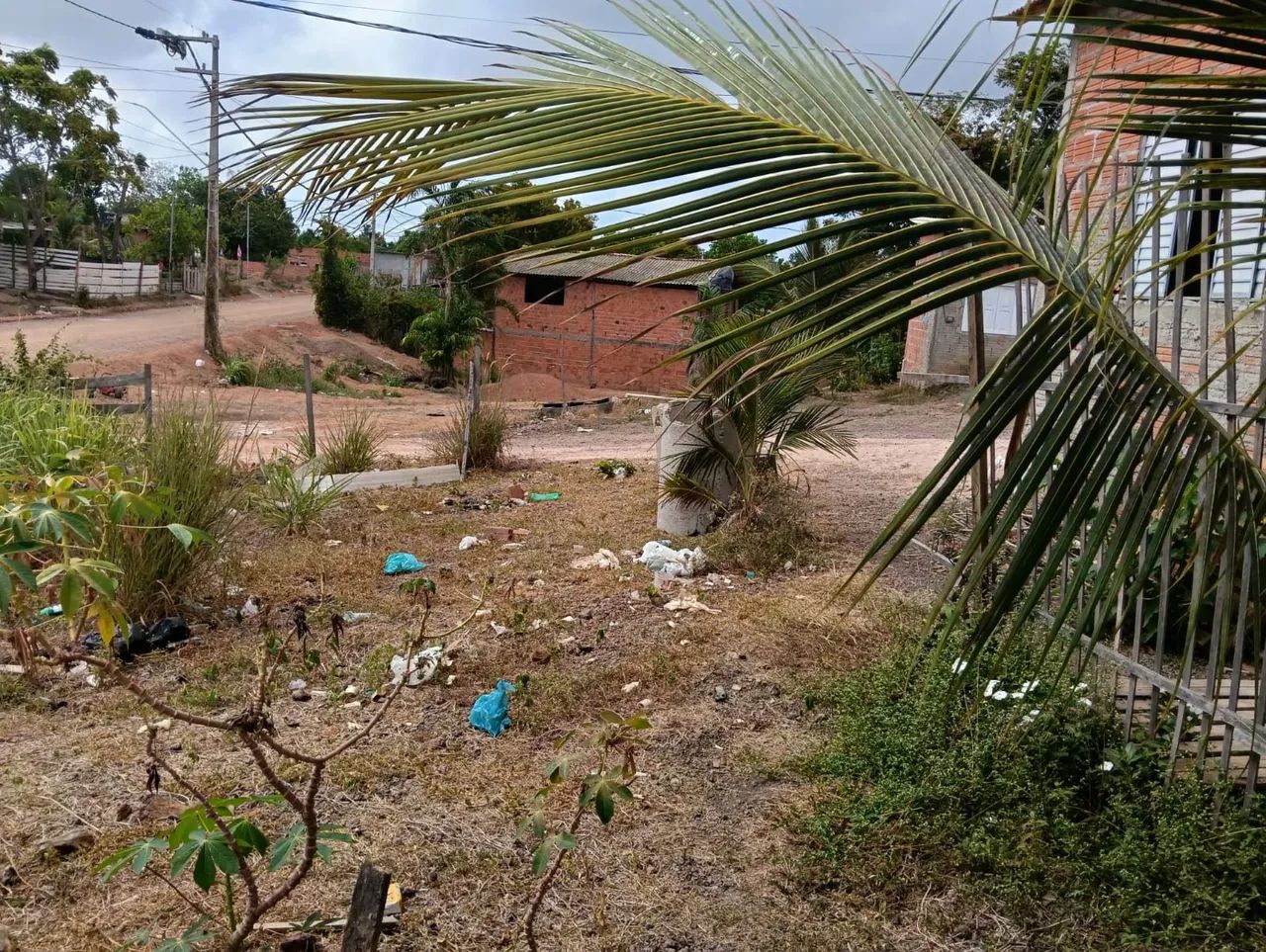 terreno zona norte  - Foto 2