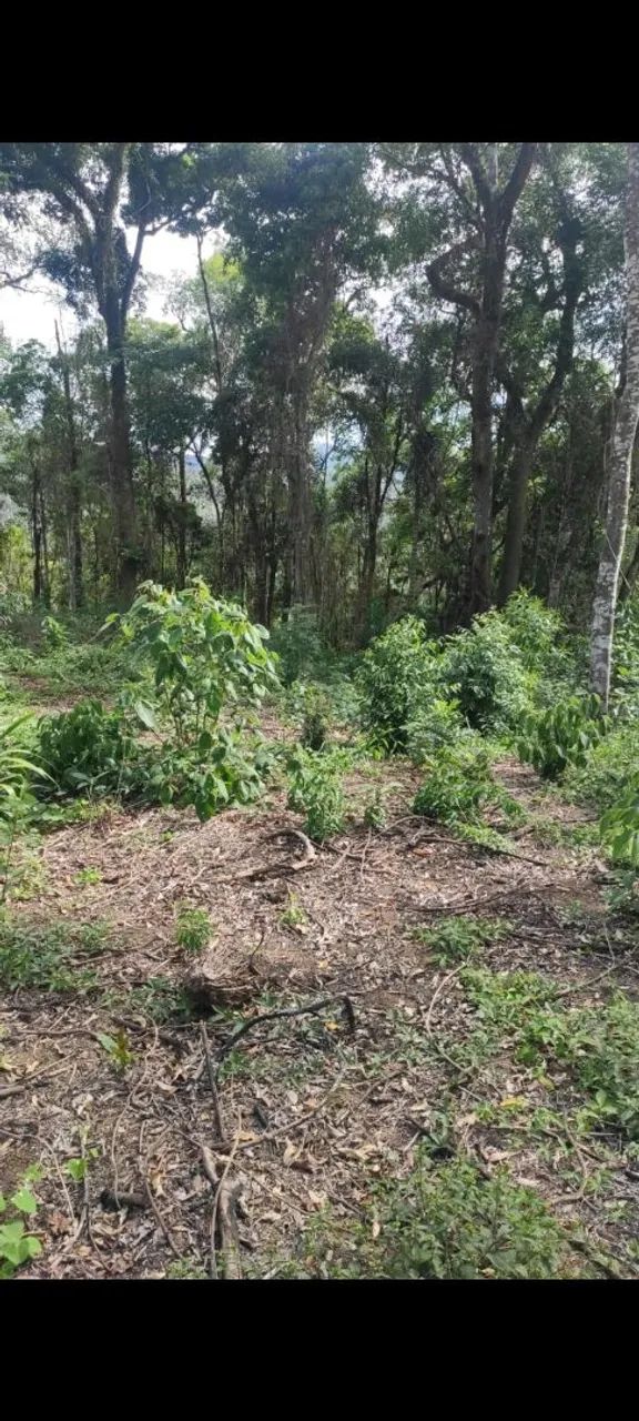 Foto - Franco da Rocha - Sitio Borda da Mata