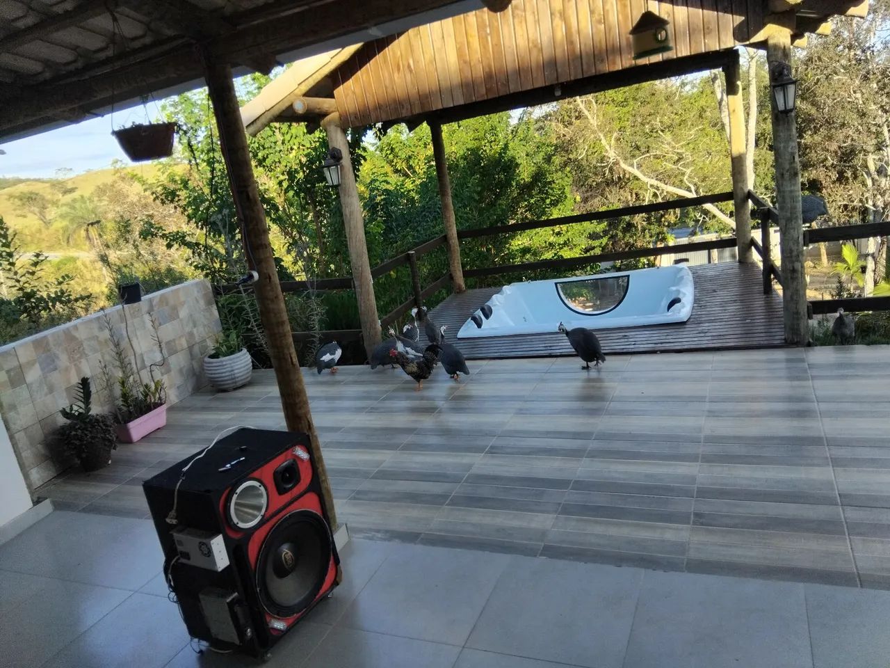 Vendo chácara próxima ao inhame  - Foto 3