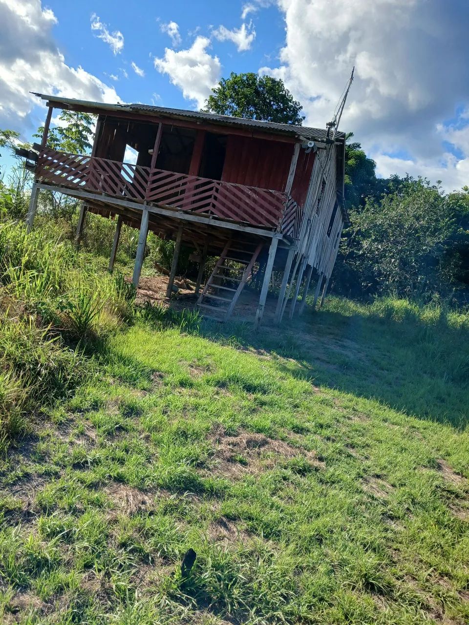 Terreno no taquara grande - Foto 2