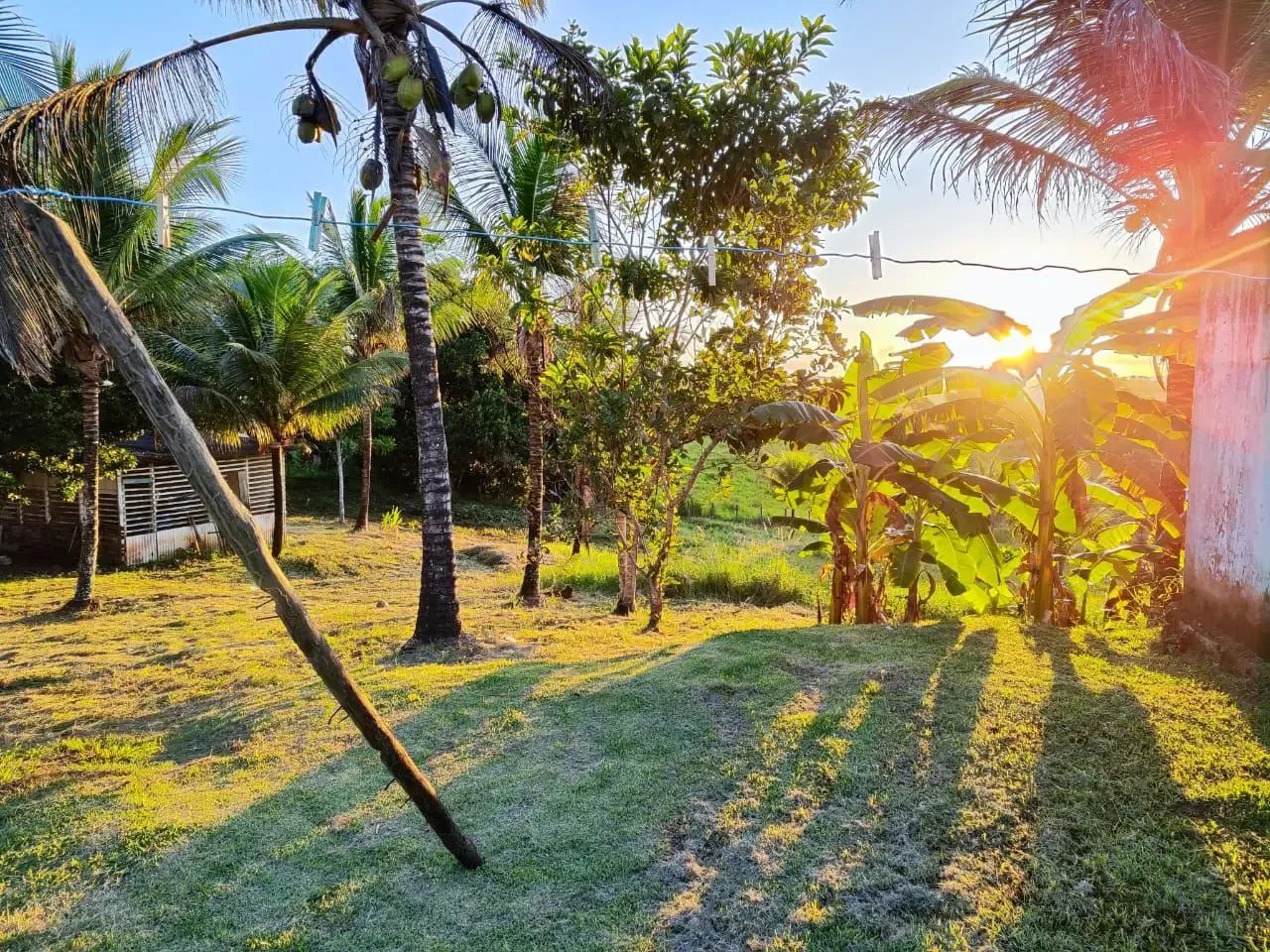 Áreas à venda, CENTRO, Itaporanga d'Ajuda, SE - Foto 5