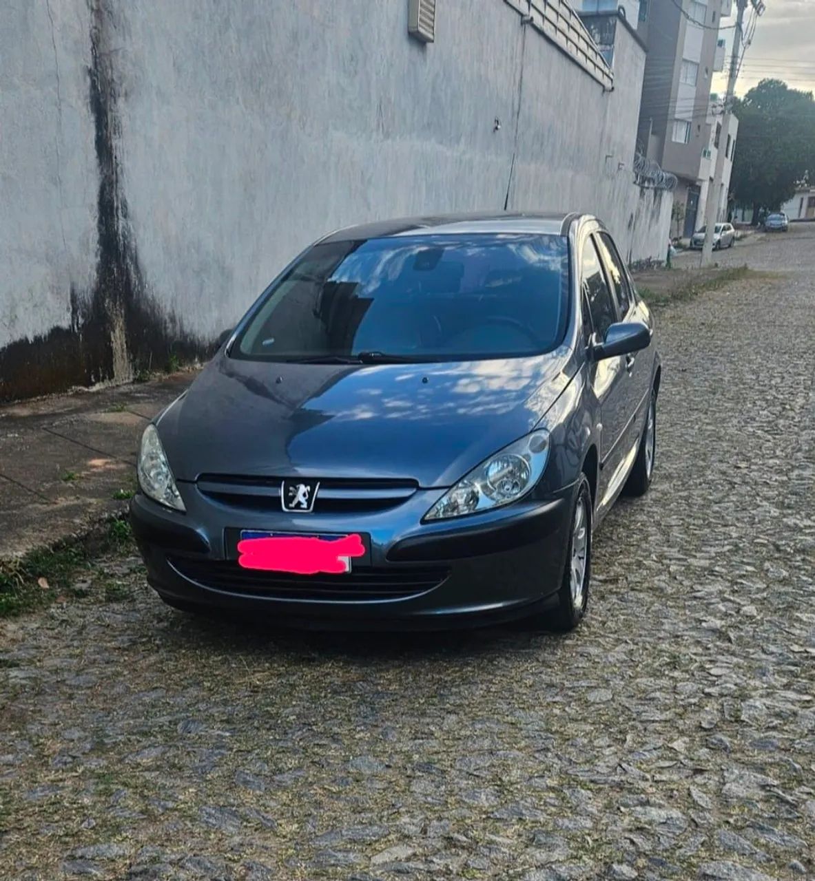 Peugeot 307 307 Feline/Griff/Premi. 2.0 Flex 5p Aut. 2004