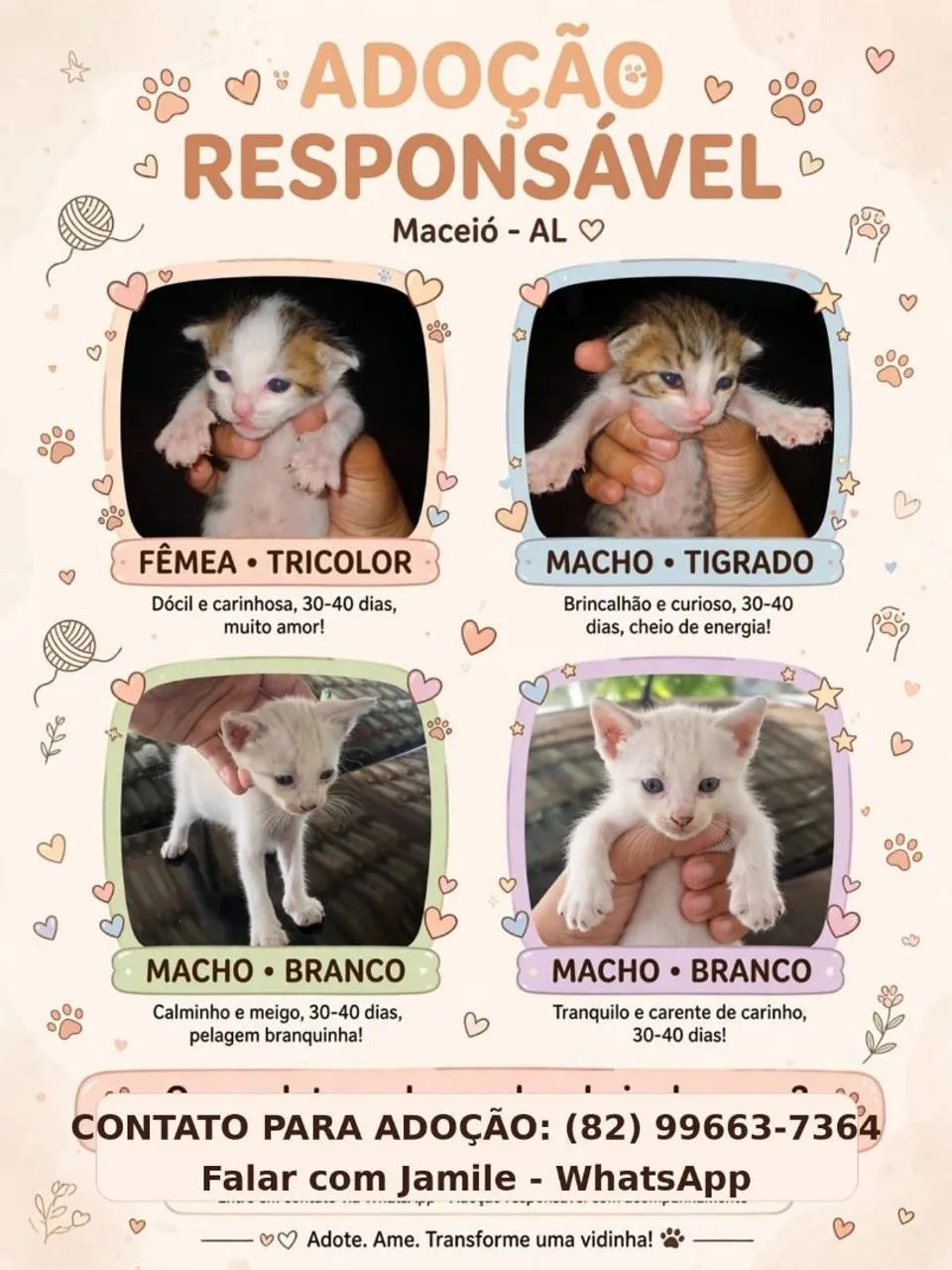 Gatinhos para adoção 