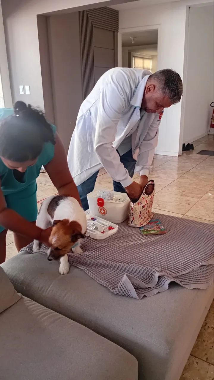Veterinário a domicílio  - Foto 5