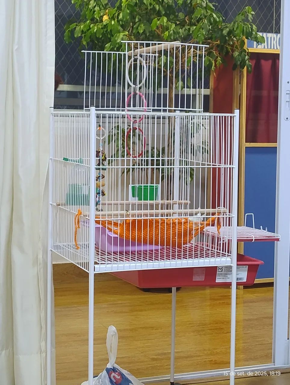 Gaiola  - Foto 2