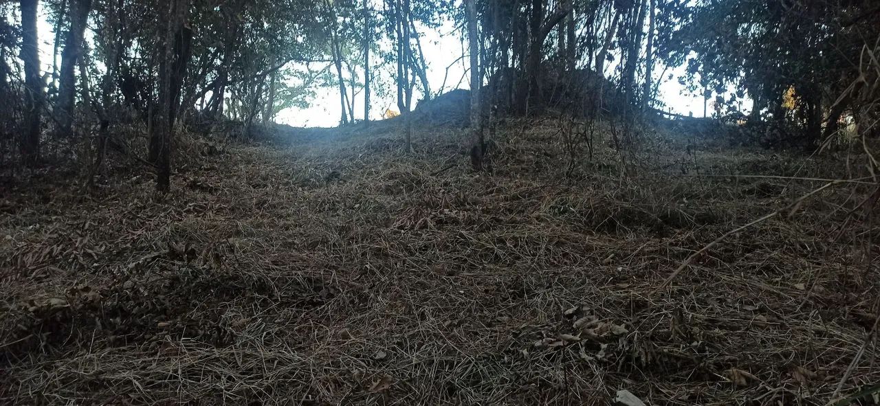 Oportunidade terreno  - Foto 3
