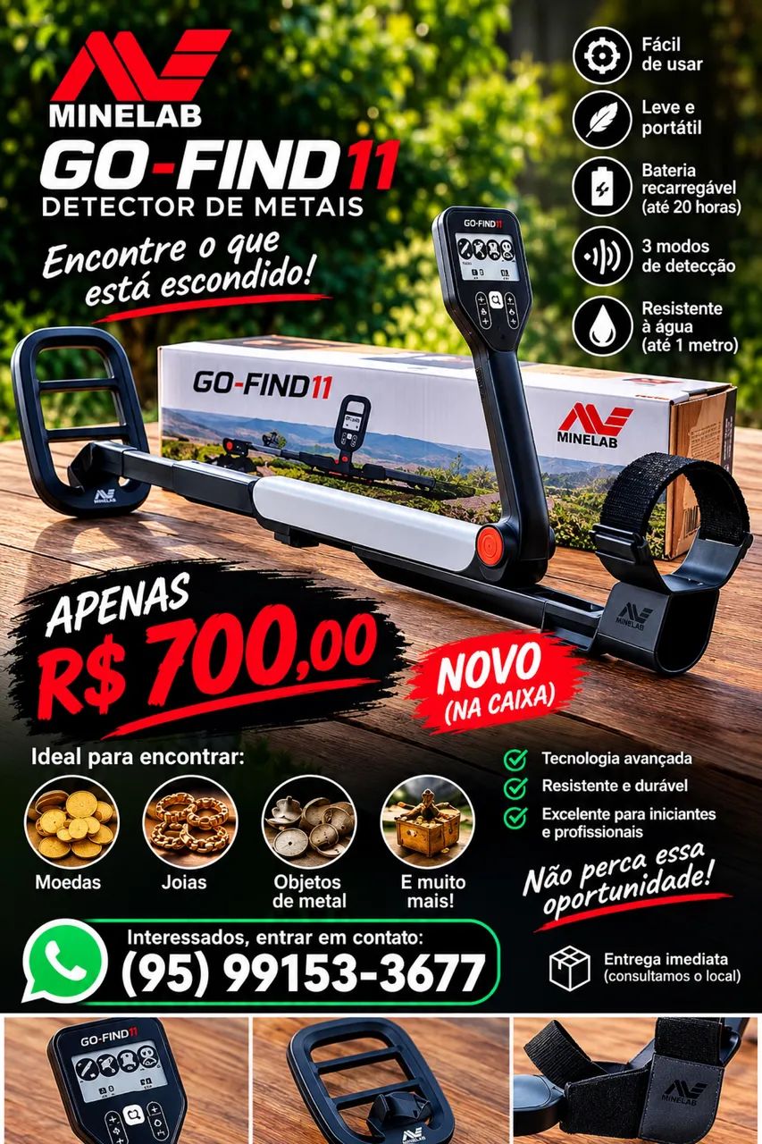 Detector de metais 