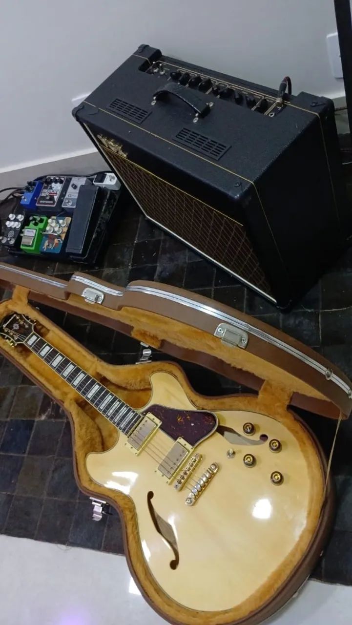 Ibanez artcore as73g 