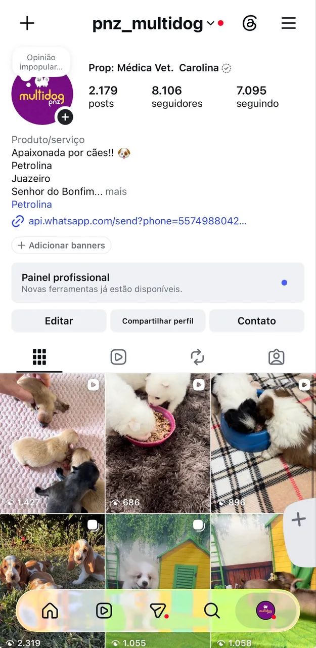 Machinho de Chihuahuas 
