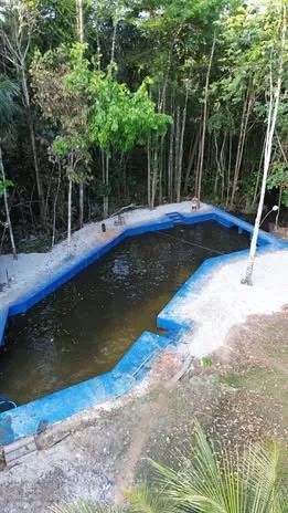 Sítio em Curuçá-Pa com piscina e igarapé. - Foto 4