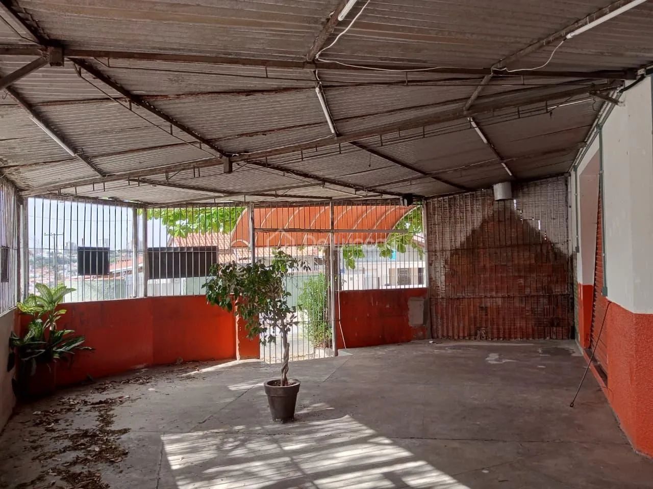 barracão - Jardim Nova Europa - Campinas