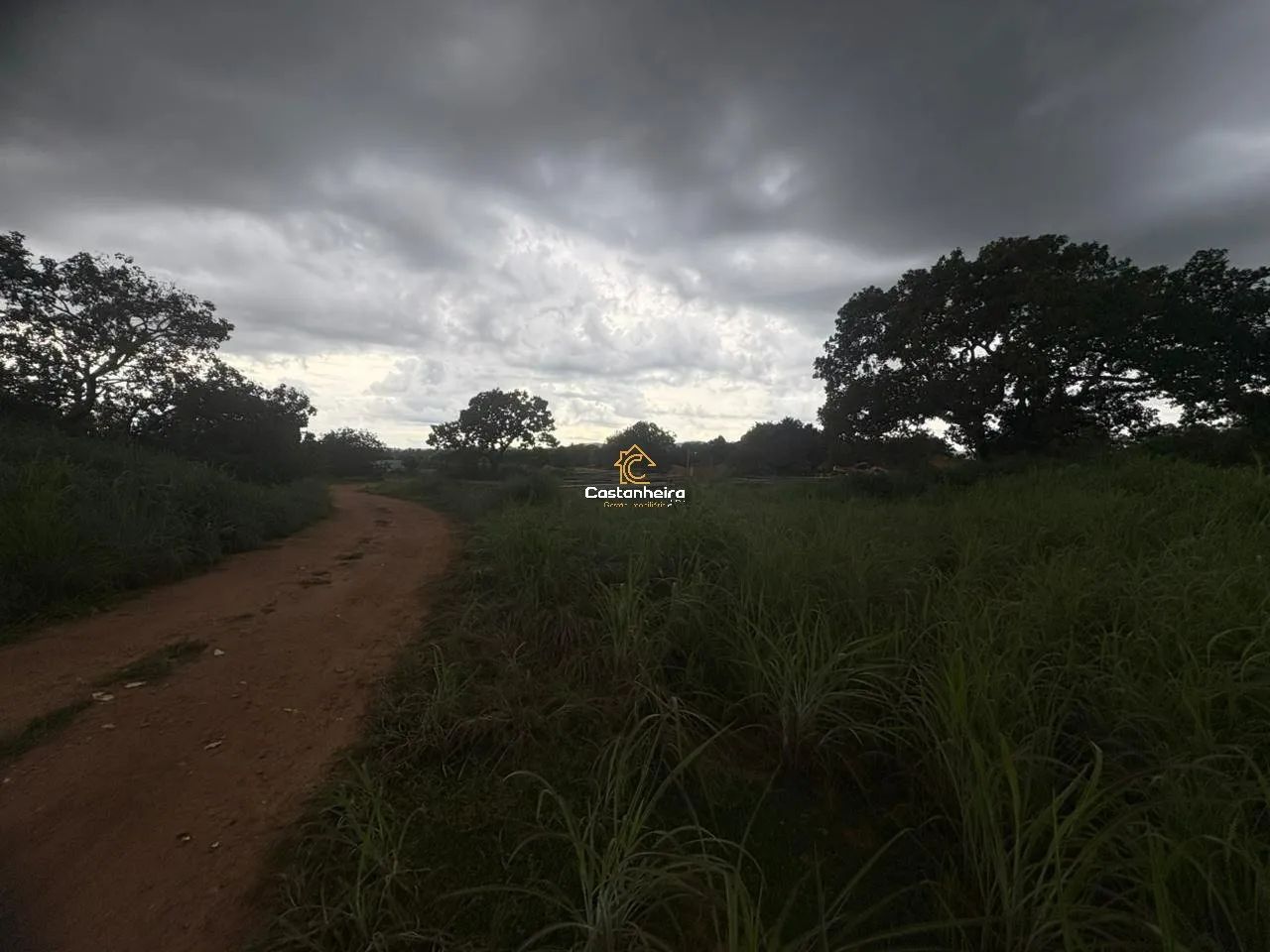 Lote - 11.215,83 m² - Plano Diretor Sul - Foto 5