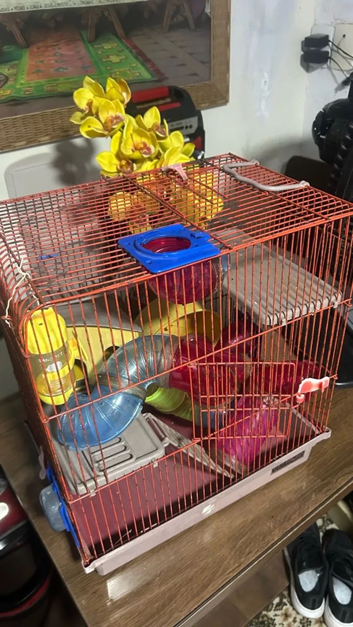 Casinha para Hamster 