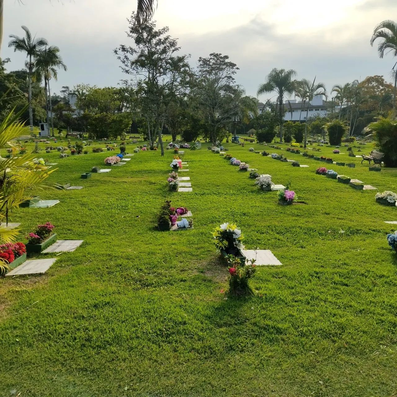 JAZIGO JARDIM DA PAZ FLORIANÓPOLIS 