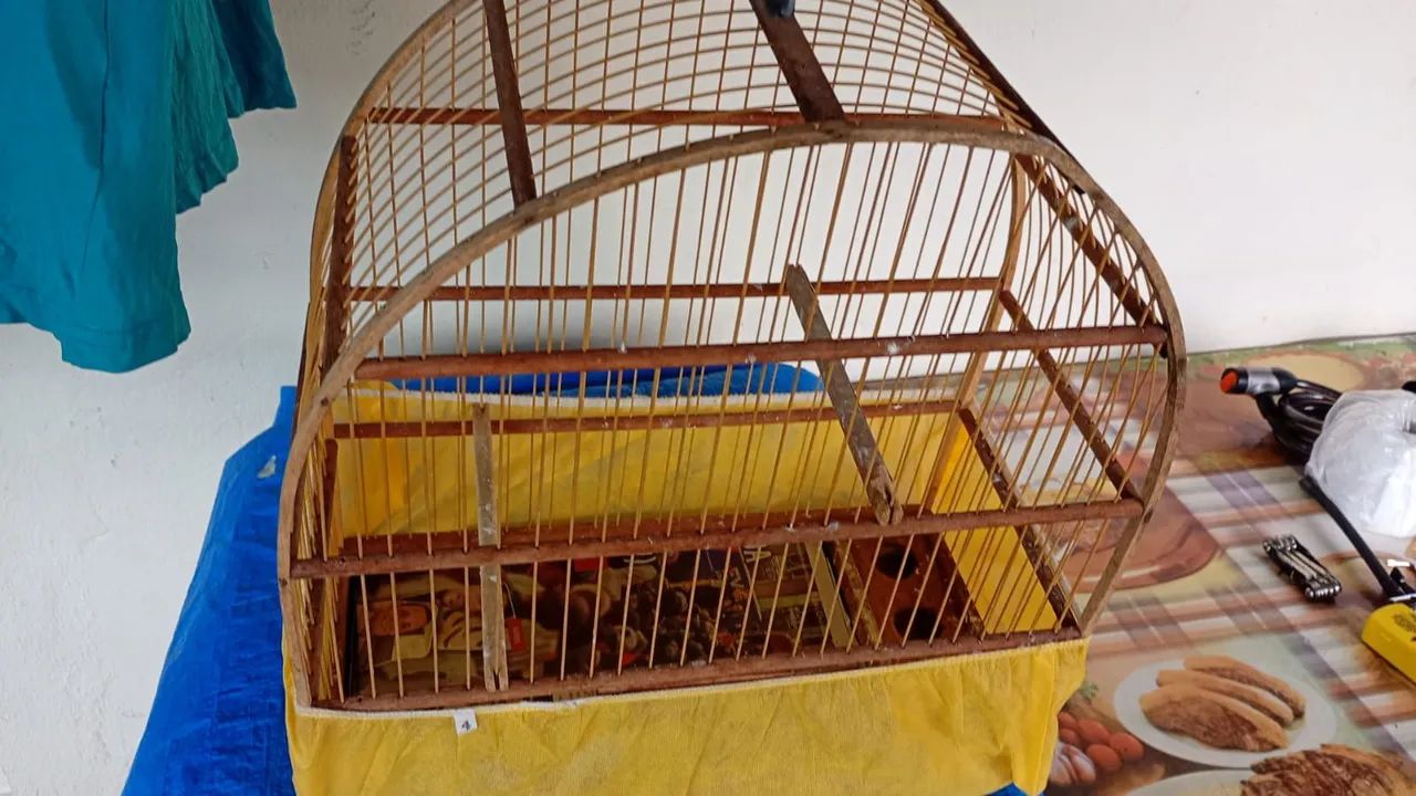 Gaiola
