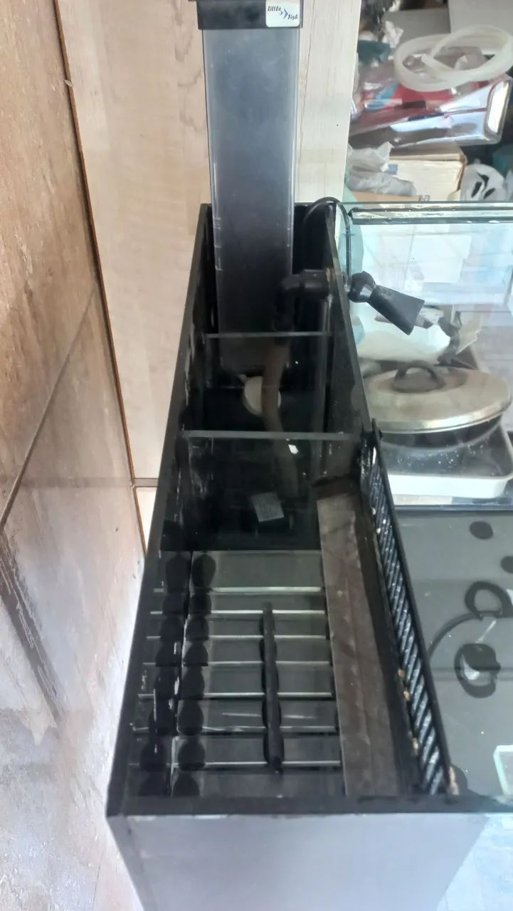 Aquário  - Foto 3