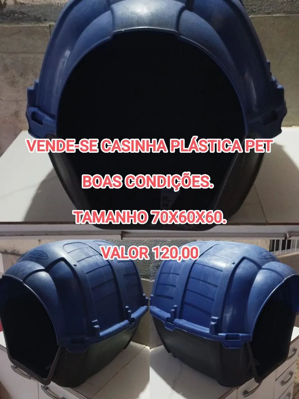 CASINHA PET - Foto 5