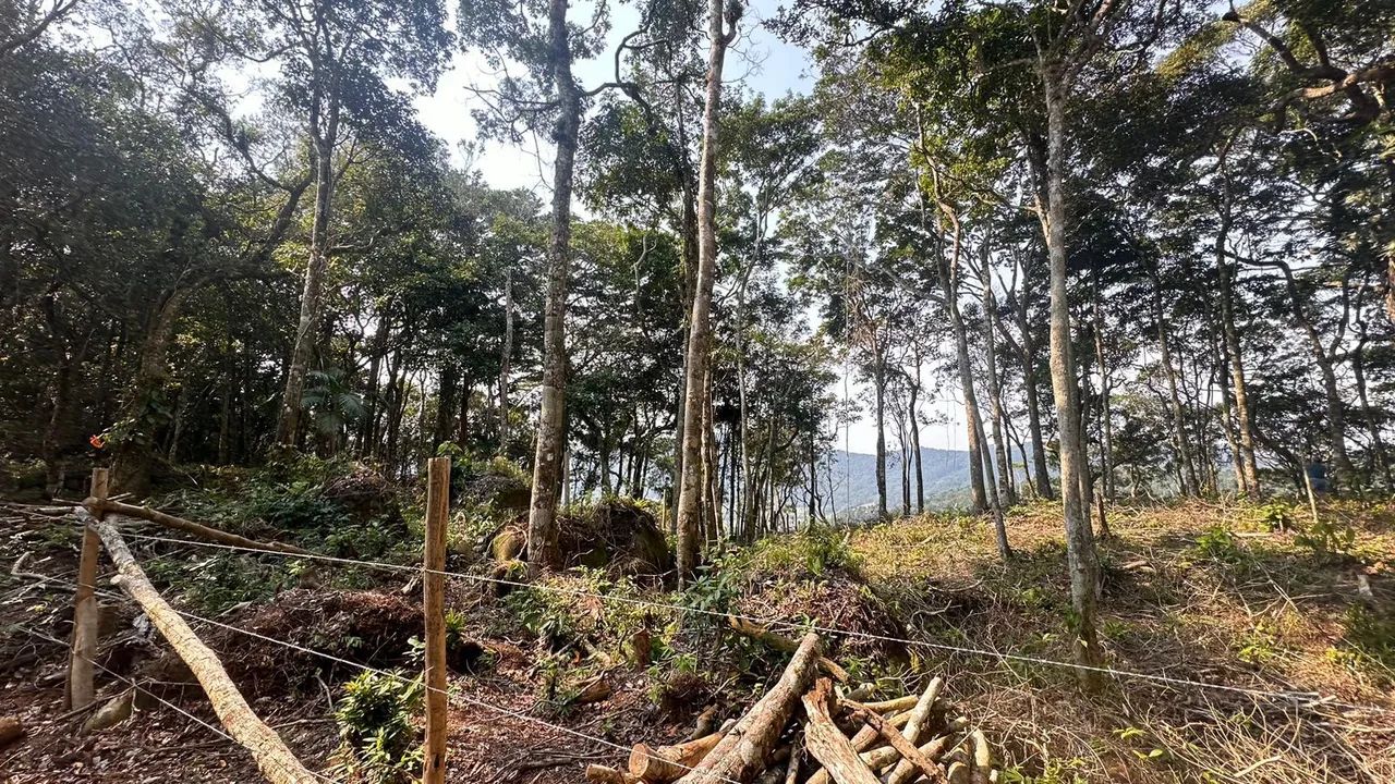 CHÁCARA À VENDA EM CAMBORIÚ - SC - Foto 4