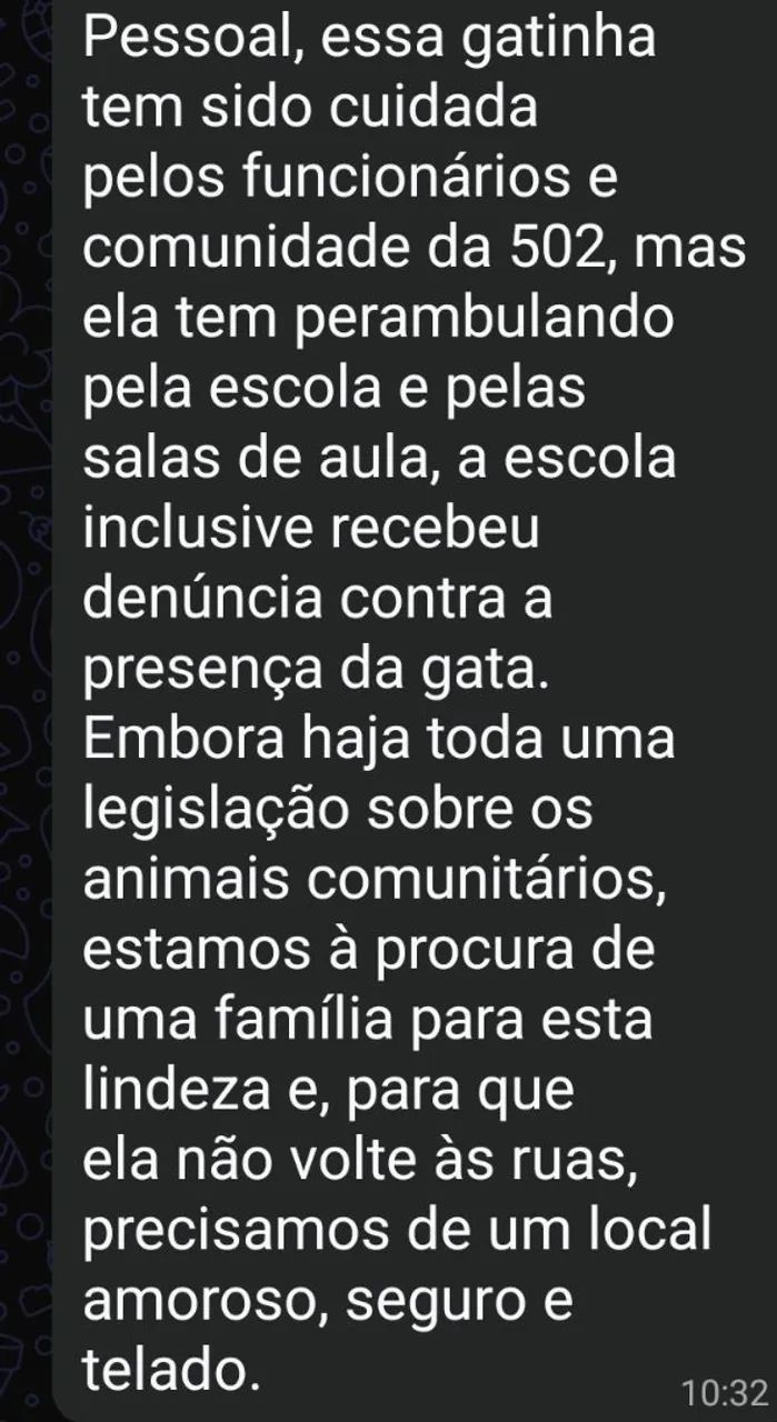 Doação  - Foto 2