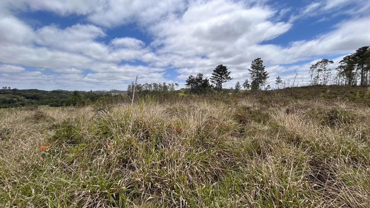 Terreno Rural para Venda em Salesópolis, Alegre - Foto 4