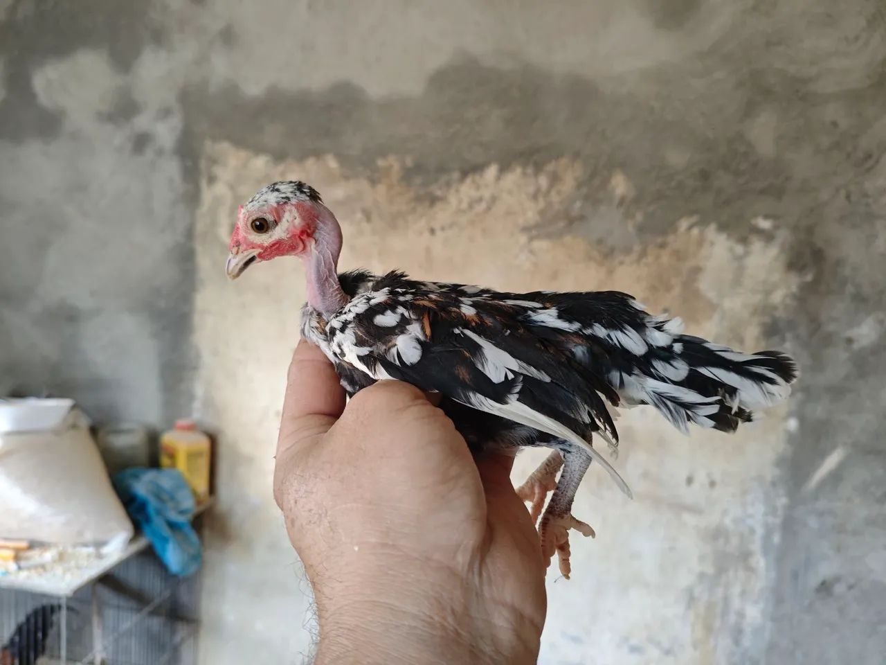 Mini garnize 