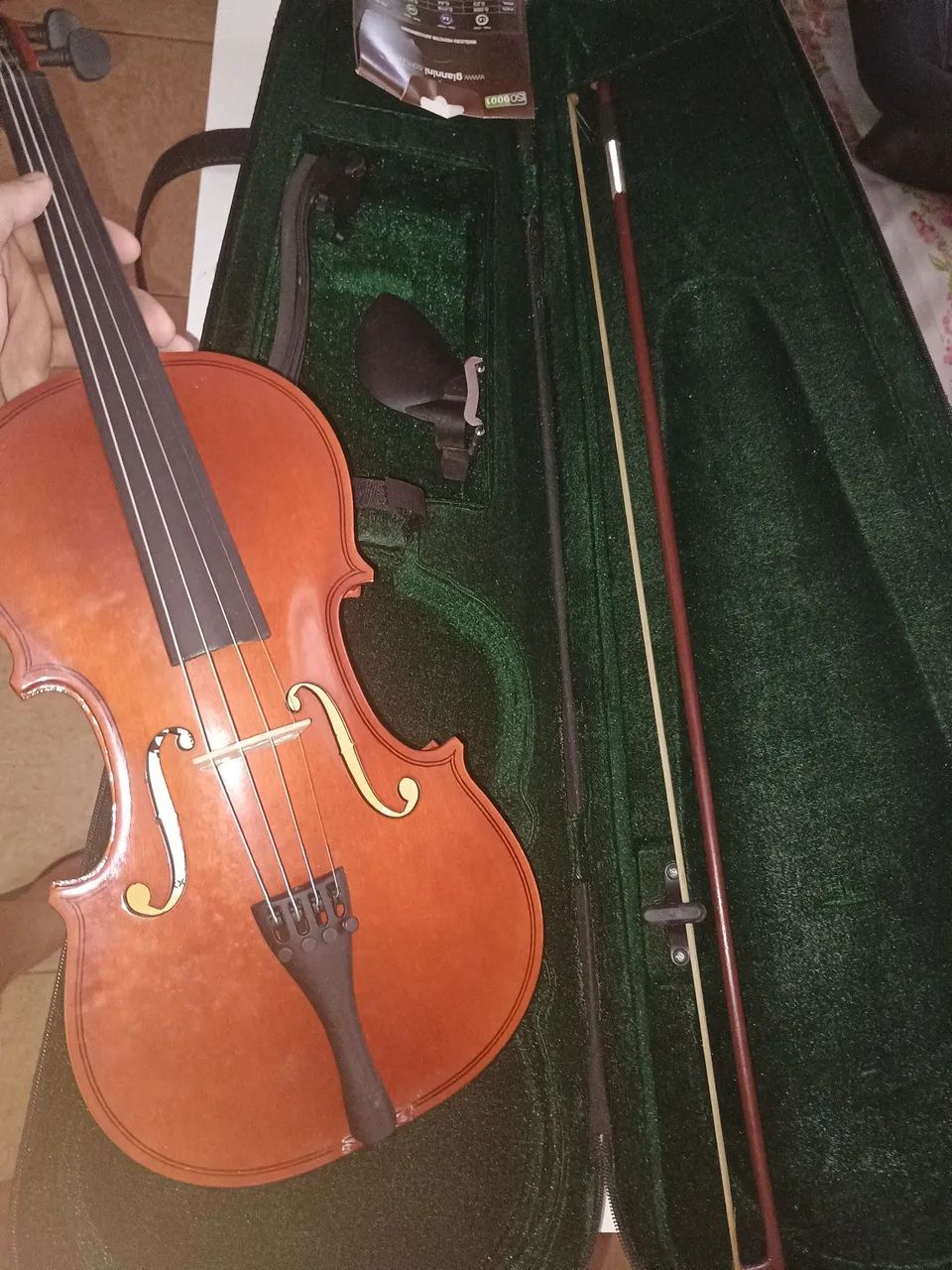 Violino 4/4? Giannini