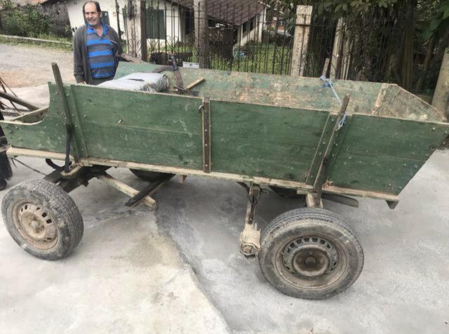 Cavalo com duas carroças + máquina de picar ração - Foto 6