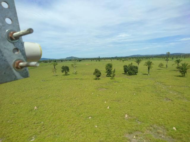 Fazenda no Pará - Foto 15