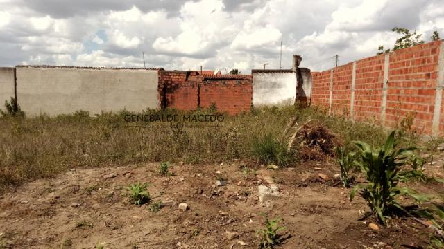 Terreno, Campo do Gado, Feira de Santana-BA - Foto 2