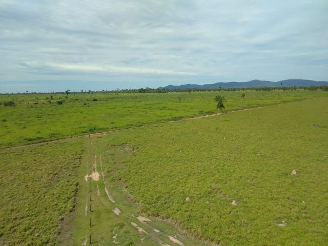 Fazenda no Pará - Foto 17