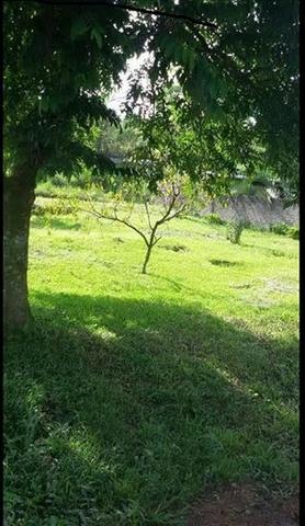 Terreno para Venda, São Bento do Sul / SC, bairro Serra Alta - Foto 3