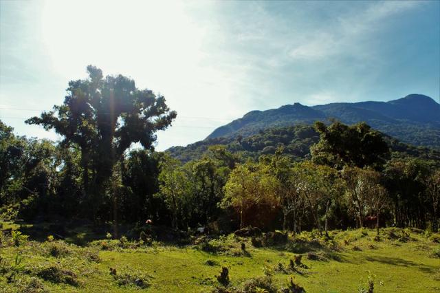 Terrenos próximo a Represa - Foto 4
