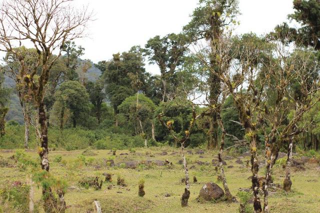 Terrenos próximo a Represa - Foto 7